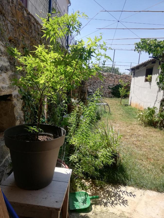 Old Istrian House,Free Parking Apartment Galižana Exterior foto